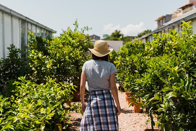 Back view woman between plants