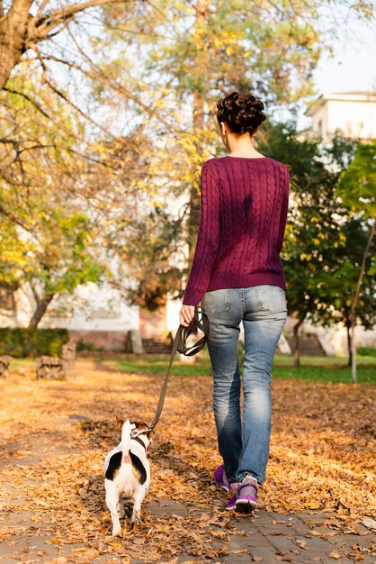 公園で彼女の犬を歩いて背面図女性