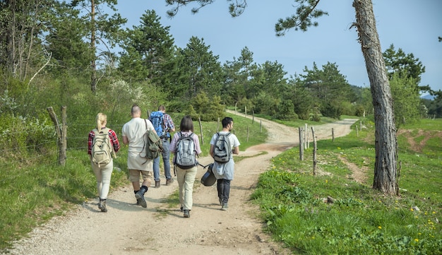 Вид сзади молодых друзей с рюкзаками, гуляющих в лесу и наслаждающихся хорошим летним днем
