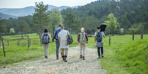 Вид сзади молодых друзей с рюкзаками, гуляющих в лесу и наслаждающихся хорошим летним днем