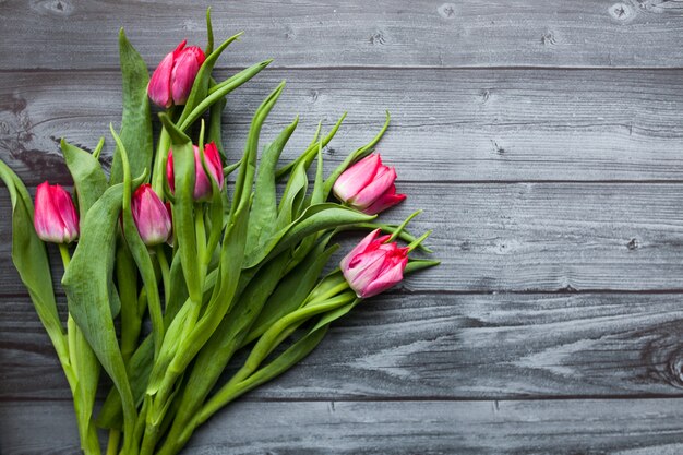 background beauti flower white flowers