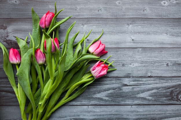 background beauti flower white flowers