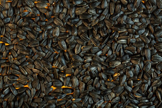 Background of black sunflower seeds top view