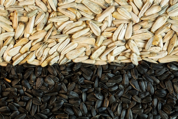 Background of black and white sunflower seeds top view