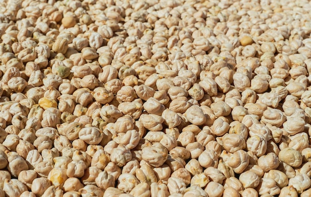 Background chickpeas seed or garbanzo beans nutritious vegetable protein close up and selective focus Idea for banner or product advertisement wallpaper for article describing vegan recipe or diet
