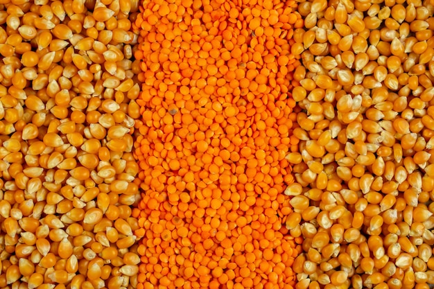 Background of corn seeds and red lentils top view