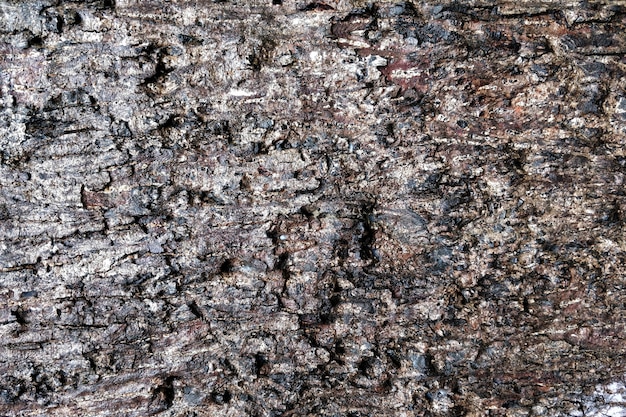 Background of dirty old wood texture