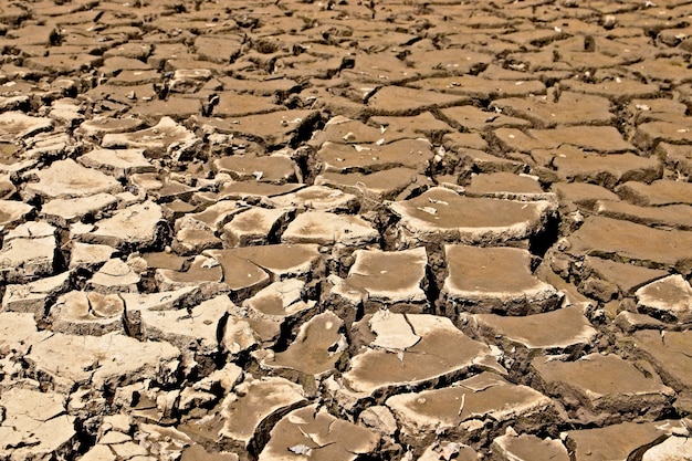 Foto gratuita sfondo di terreno fangoso essiccato e incrinato