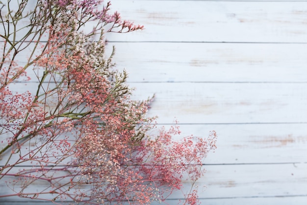 Free photo background flower spring beauti mothers