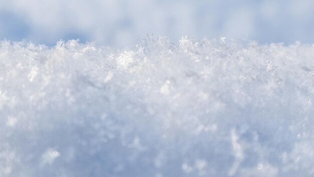 Background of fresh snow. natural winter background. snow texture in blue tone