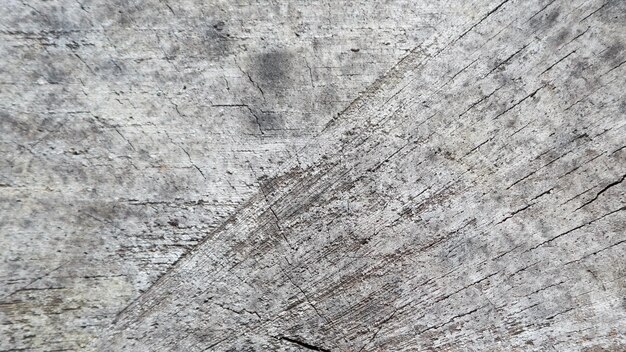 Background from cross section of tree trunk abstract texture from rings of old weathered wood with