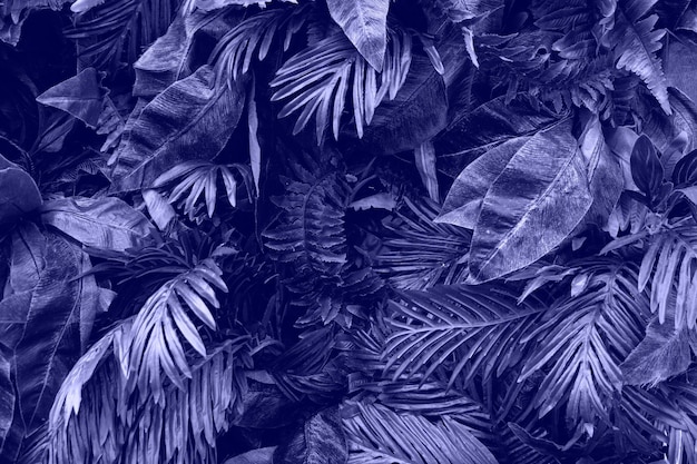 Background from tropical leafs colored in trendy violet color.