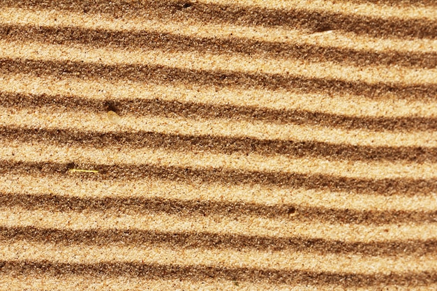 Free photo background of golden sand