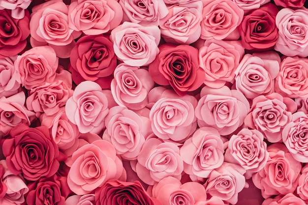 Background image of pink roses