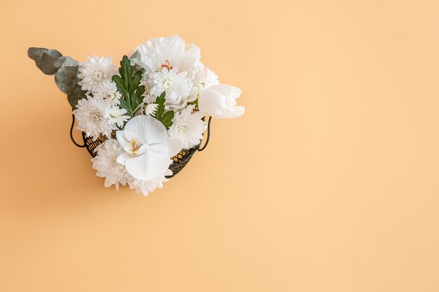 background is a solid color with vivid white flower.