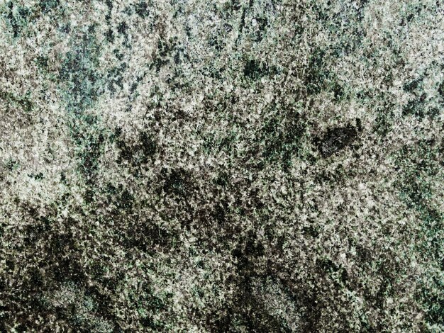 Background of lichen growing on rock