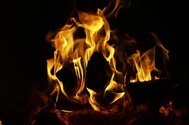 오븐에서 불꽃의 배경 벽돌 벽난로에서 불의 혀 화재 텍스처 프리미엄 사진
