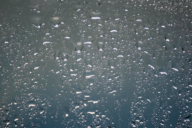 背景の雨滴がクローズアップ