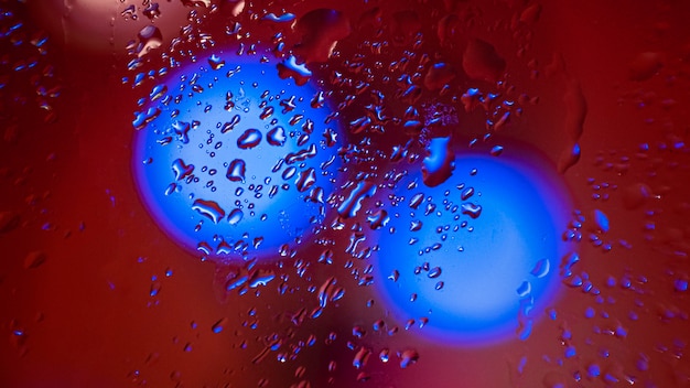 Free photo background rain drops close up