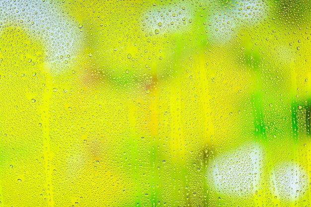 Free photo background rain drops close up