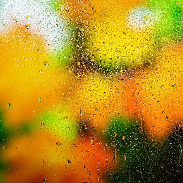 背景の雨の滴が近づいている