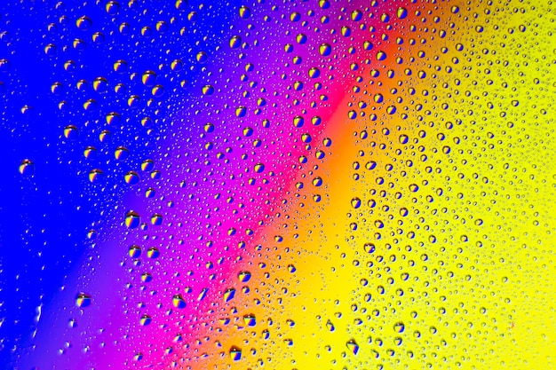 Free photo background rain drops close up