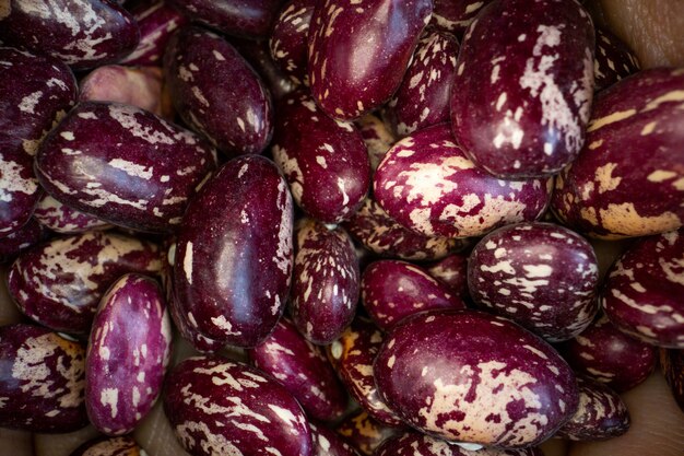 Background of red speckled kidney beans close up view