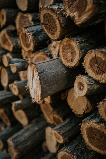 Background of stacked dry firewood logs