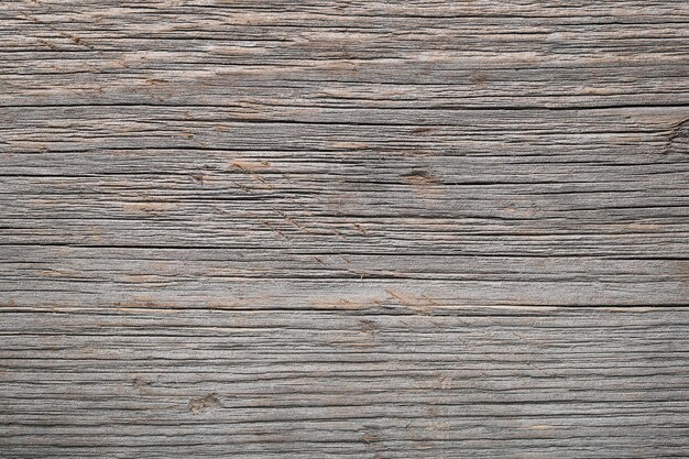 Background, texture. Wood in close-up