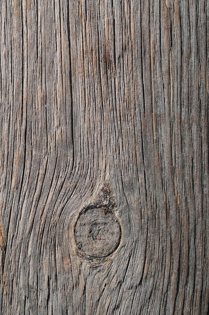 Free photo background, texture. wood in close-up