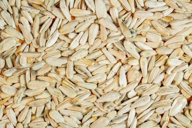 Background of white sunflower seeds top view