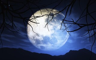 月明かりの空を背景に木のレンダリング3d