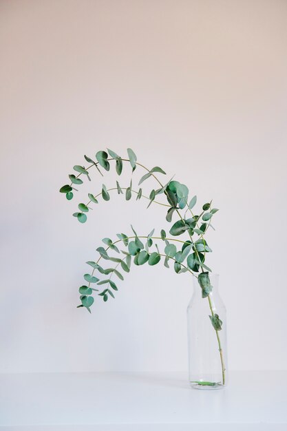 Background with branch in glass