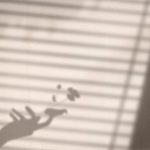 Background with flower in hand and blind window shadow