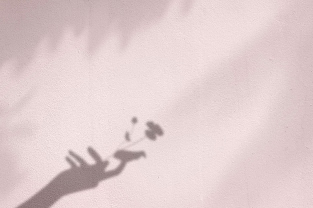 Background with flower in hand shadow