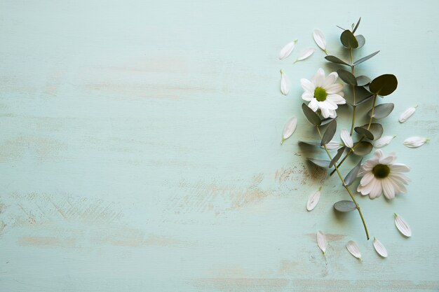 右の花の背景