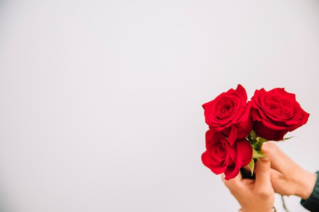 Background with hand holding roses