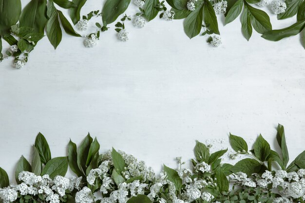 Background with natural leaves and branches of flowers isolated.