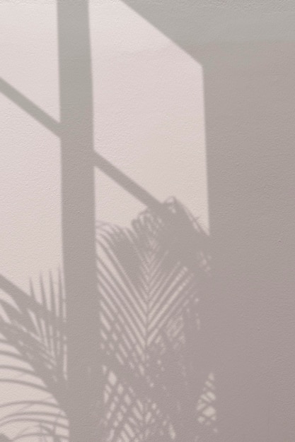 ヤシの木と窓の影の背景