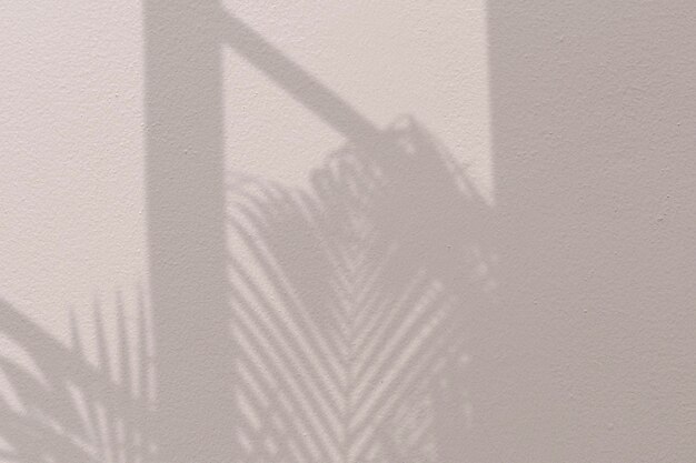 Фон с пальмой и тенью окна