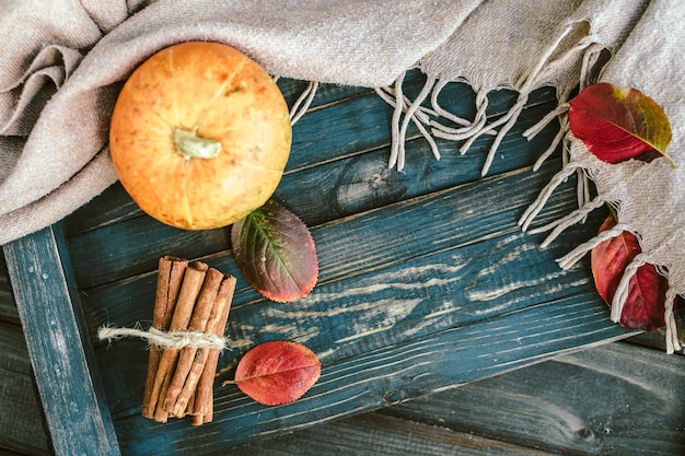 Free photo background with pumpkin cinnamon plaid autumn concept