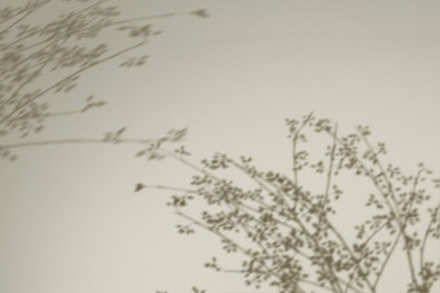 花の枝の影と背景