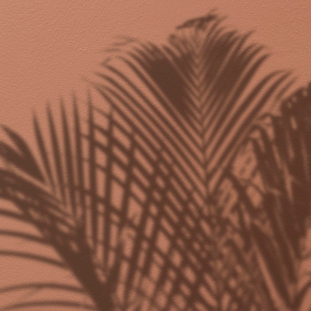 Background with shadow of a palm tree