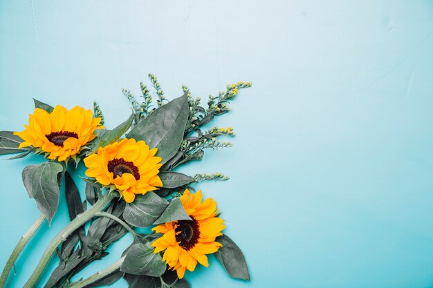 Background with sunflowers