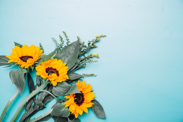 Background with sunflowers