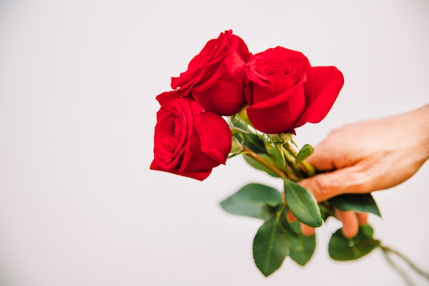 Happy Couple Hugging Posing Red Rose Flowers Valentines Day Isolated Stock  Photo by ©IgorVetushko 236838456