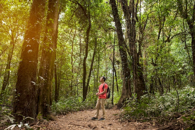 Foto gratuita backpacker ammirando foresta