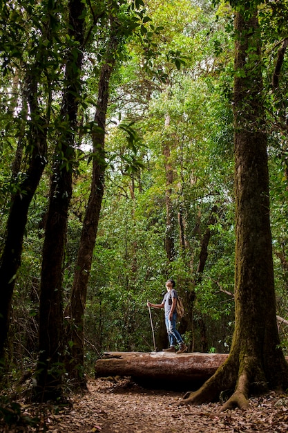 Foto gratuita backpacker in foresta con alberi alti