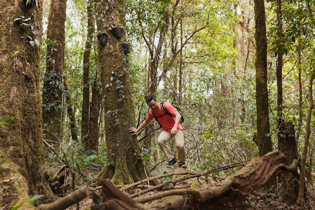 Foto gratuita backpacker in foresta