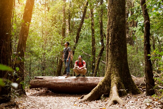 Backpacker friends in forest